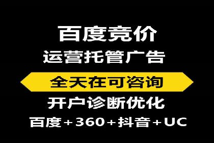 探索专业SEM托管的奥秘：从案例看效果